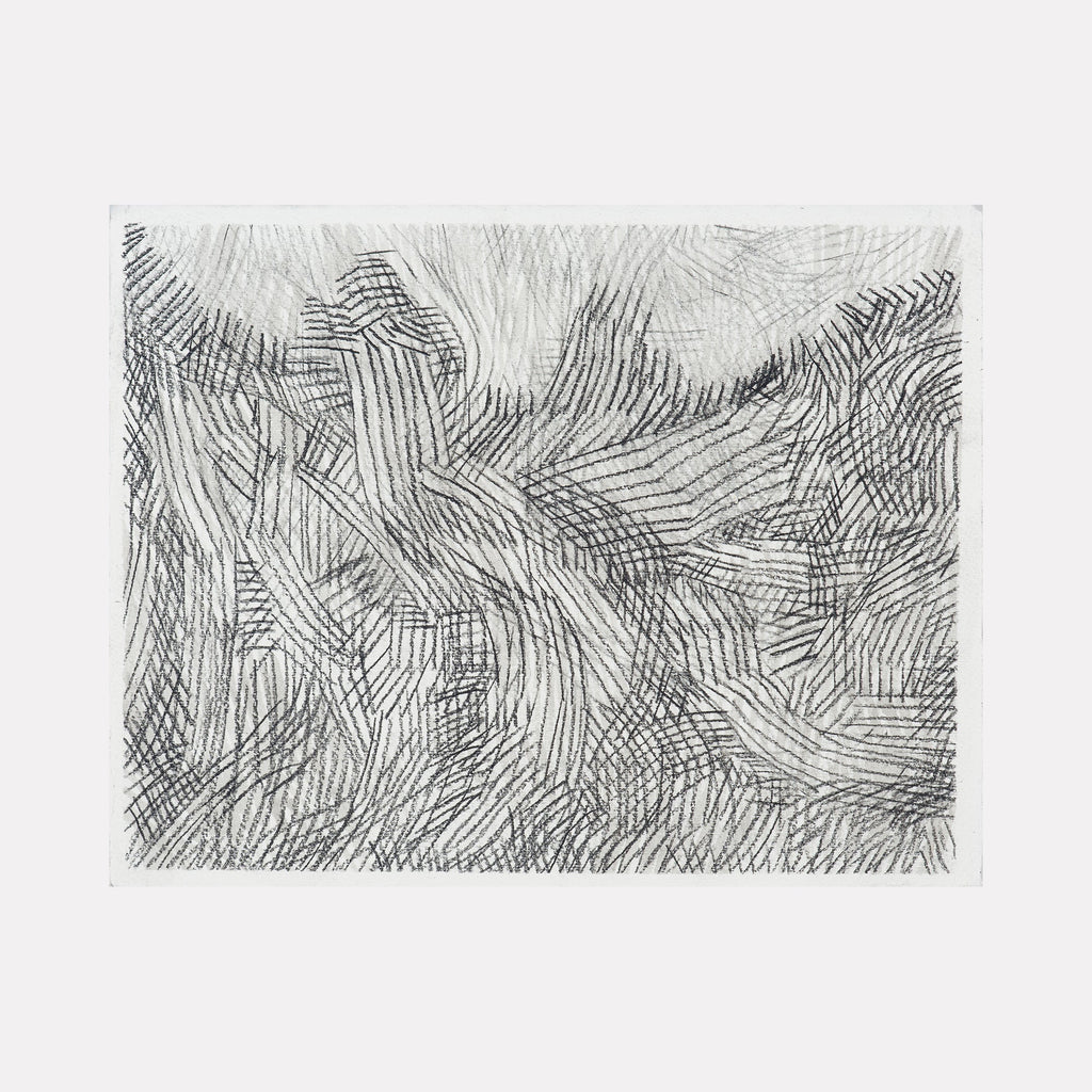 The artwork Over Under 2, by Zoe Cohen