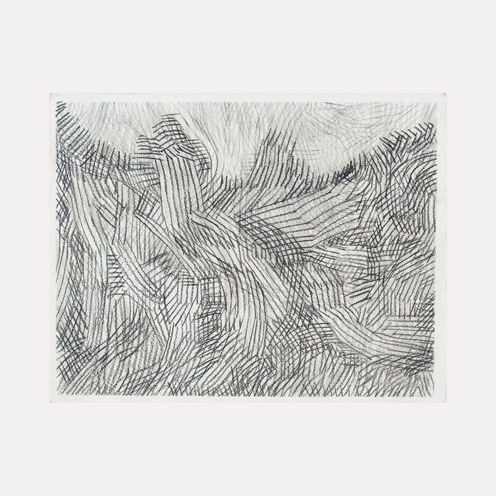 The artwork Over Under 2, by Zoe Cohen