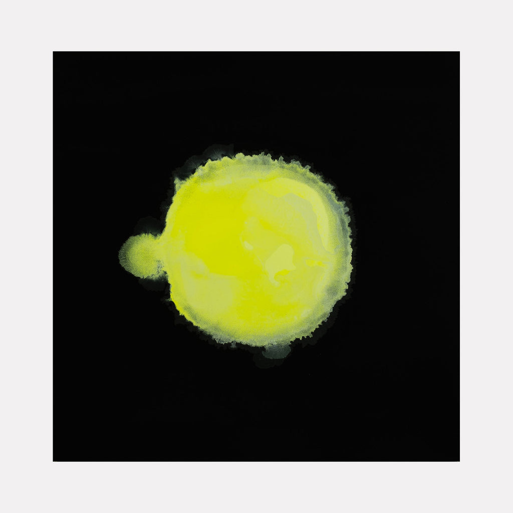 The artwork "#12" by Patrick Walsh in gallery position 1 features a luminous, irregular yellow orb with diffused edges set against a stark black background. Its glowing, organic form and soft color transitions evoke the ethereal light studies of James Turrell combined with the restrained minimalism reminiscent of Robert Irwin's explorations of perception.