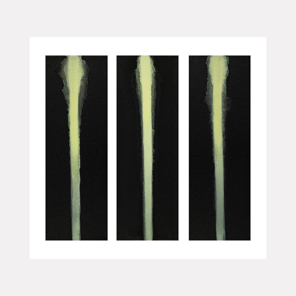 The artwork "#17" by Patrick Walsh in gallery position 1 presents a triptych of elongated, vertical pale green forms with soft, textured edges against a deep black background. The subtle color gradations and minimalist composition evoke the contemplative abstraction of Agnes Martin and the serene spatial balance found in the works of Ellsworth Kelly.
