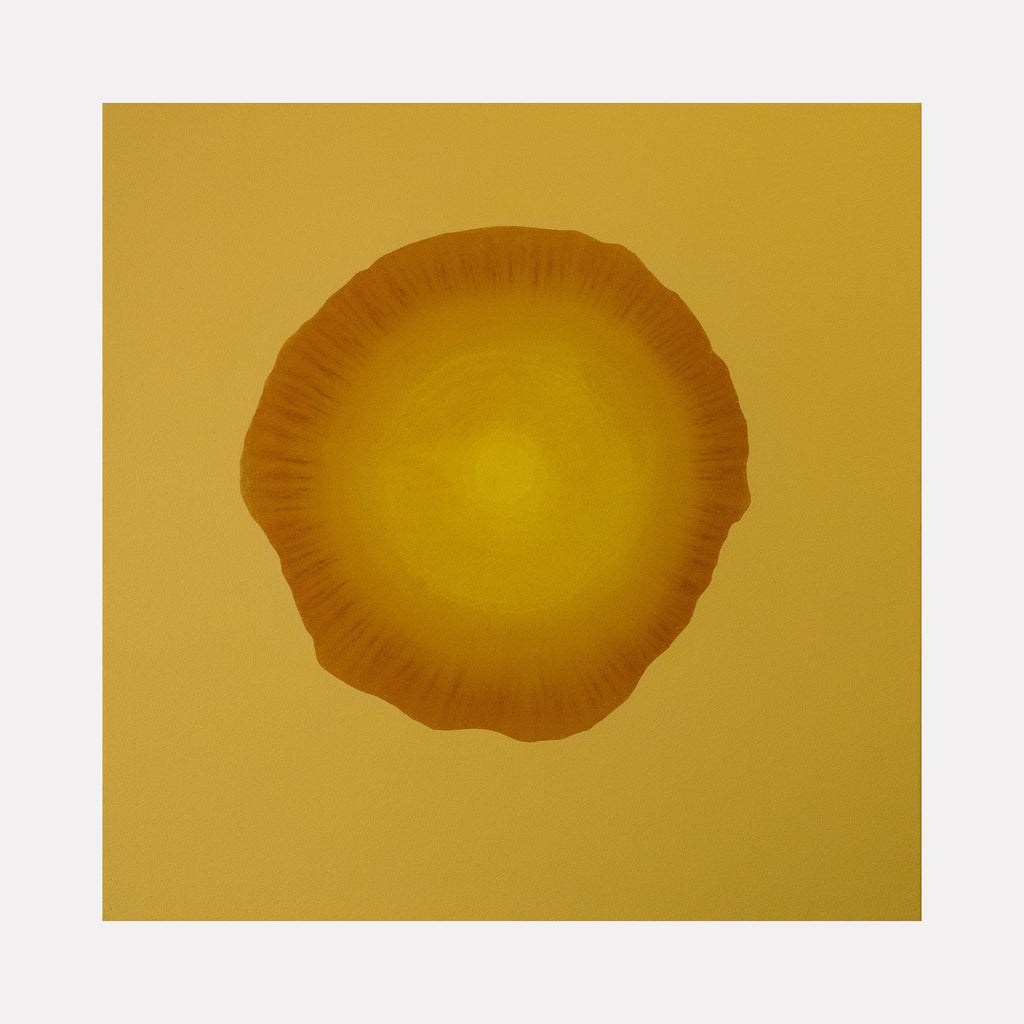 The artwork "#1 (Yellow)" by Patrick Walsh in gallery position 1 presents a luminous circular form with organic, scalloped edges rendered in warm golden and amber hues against a soft yellow background. Its minimalistic abstraction and radiant color evoke the meditative stillness found in Agnes Martin’s grids and the color field luminosity of Mark Rothko.