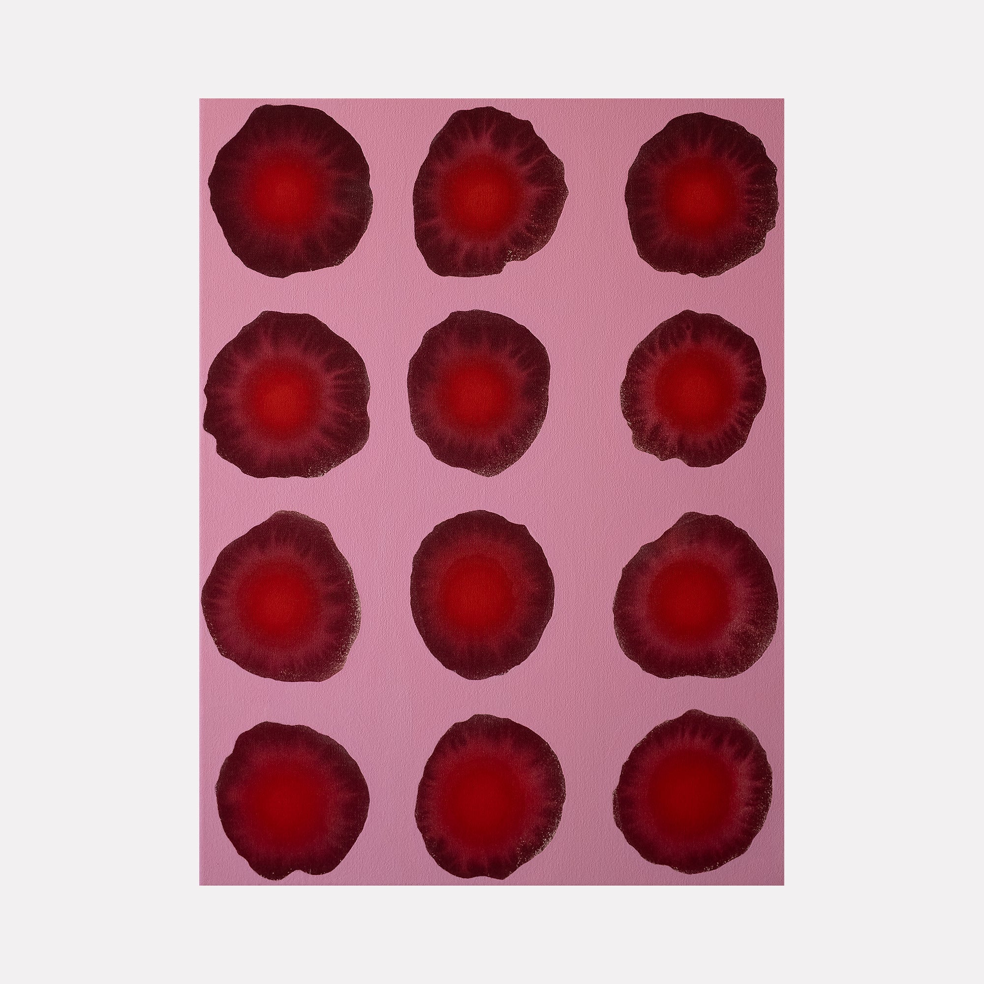collection-preview-image