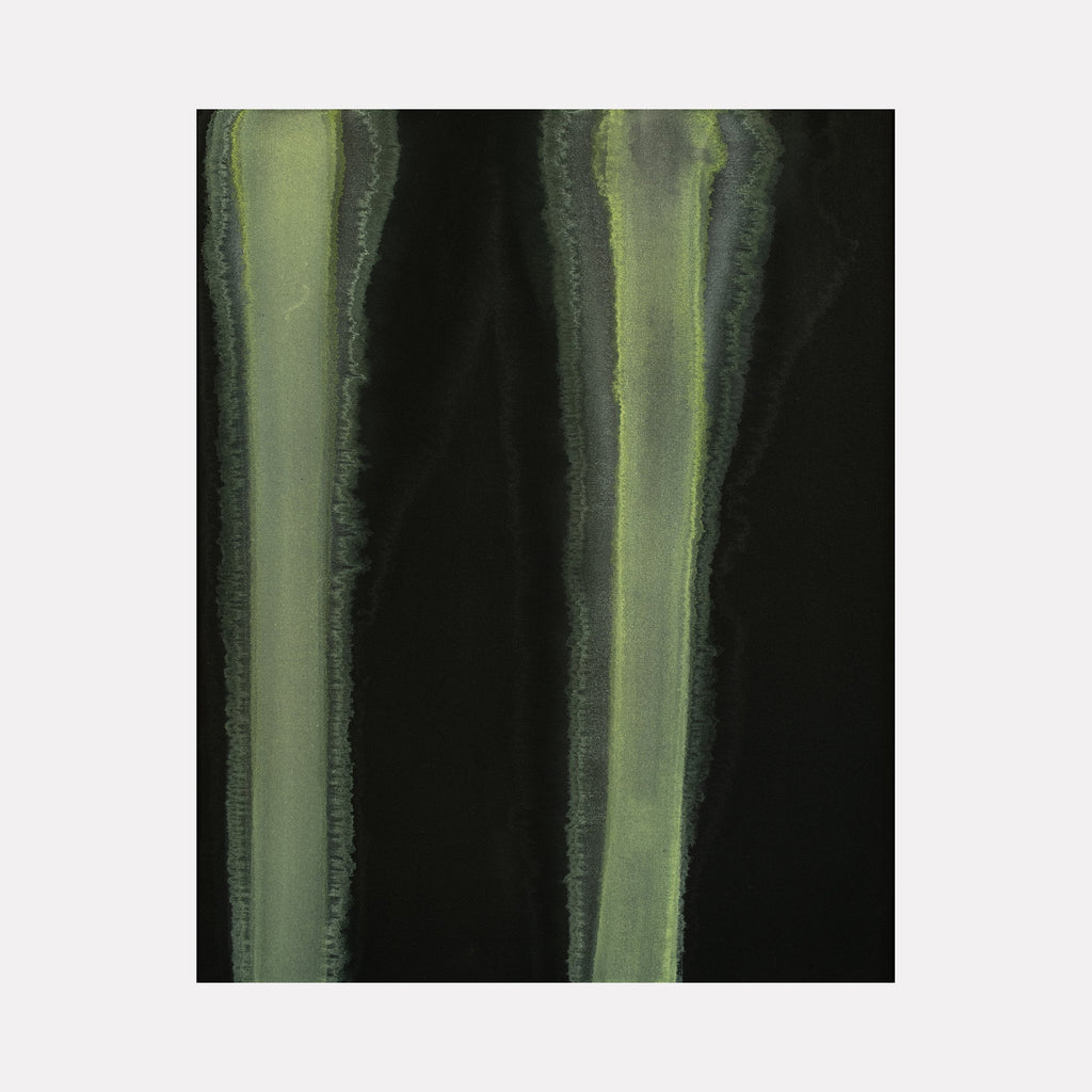 The artwork "#2" by Patrick Walsh in gallery position 1 features two vertical, elongated bands of muted green with textured, organic edges set against a deep black background. Its minimalist composition and soft color transitions evoke the contemplative abstraction of Agnes Martin and the natural fluidity akin to Helen Frankenthaler’s stained canvases.