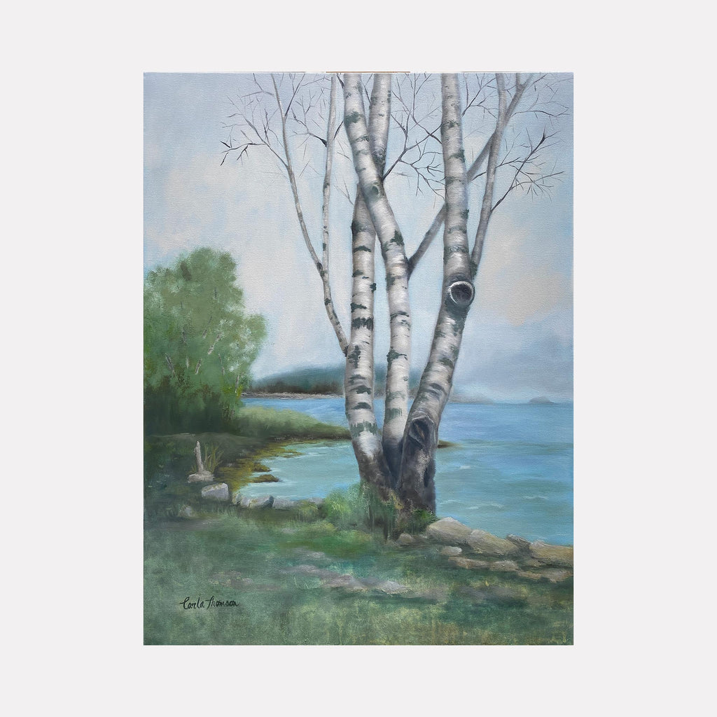 The artwork "Rooted in the Shore" by Carla Thomson features a serene coastal scene with slender birch trees in the foreground, their white bark textured and detailed, set against a softly blended sky and calm blue water. The style reflects a peaceful realism reminiscent of the natural landscapes by artists like Andrew Wyeth and Winslow Homer.