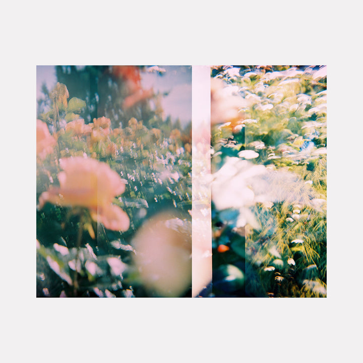 The artwork "Rose Test" by Kelly McGovern features a dreamy, impressionistic composition of soft pink and green floral forms, blending textures and light reflections reminiscent of Claude Monet's water lilies and Gerhard Richter's photo-paintings. The abstract layering creates a serene and ethereal garden scene with blurred shapes and subtle color transitions.