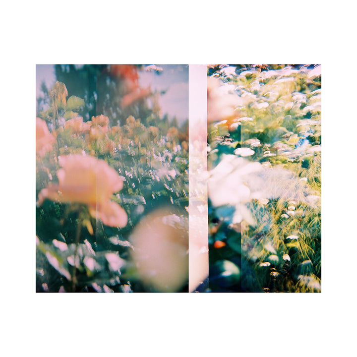 The artwork "Rose Test" features a dreamy, abstract blend of soft pastel colors with blurred floral shapes, including hints of pink roses and wildflowers against a backdrop of green and light blue tones. The image evokes a serene, ethereal garden scene with layered textures and light effects. By Kelly McGovern.