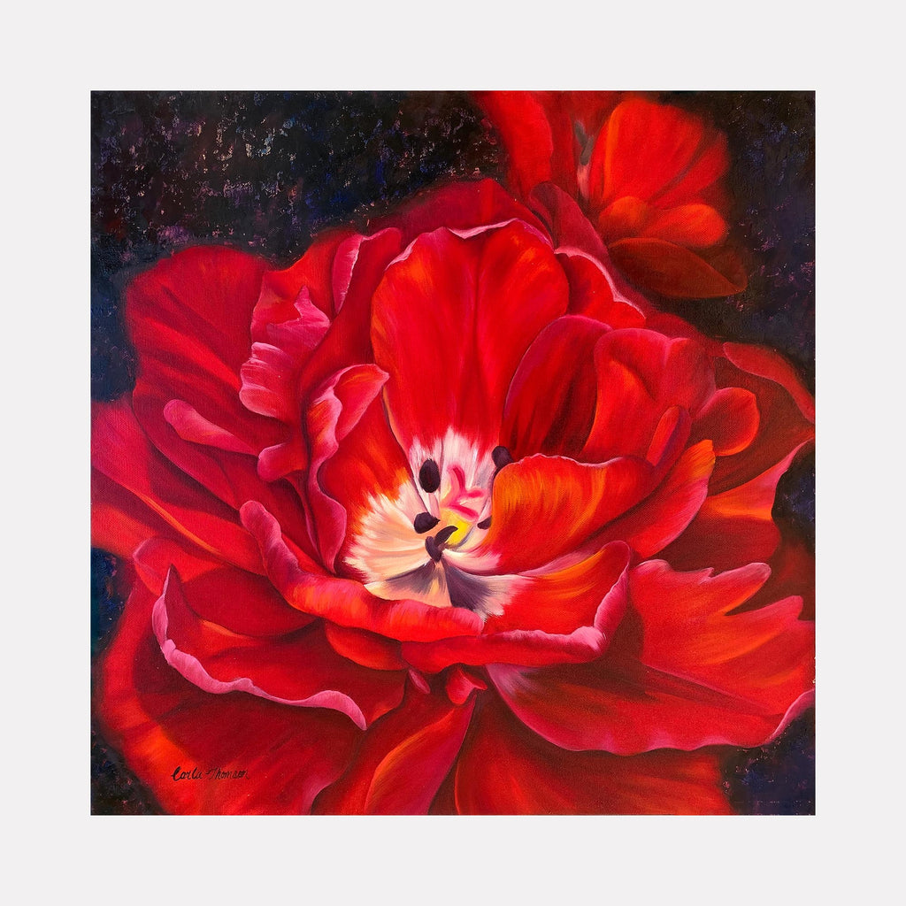The artwork "Scarlet" by Carla Thomson features a close-up of a vibrant red flower with intricately layered petals showcasing rich textures and bold shades of crimson and scarlet. Inspired by the detailed floral studies of Georgia O’Keeffe, the painting combines realistic botanical forms with a dramatic, almost abstract composition against a dark, softly textured background.