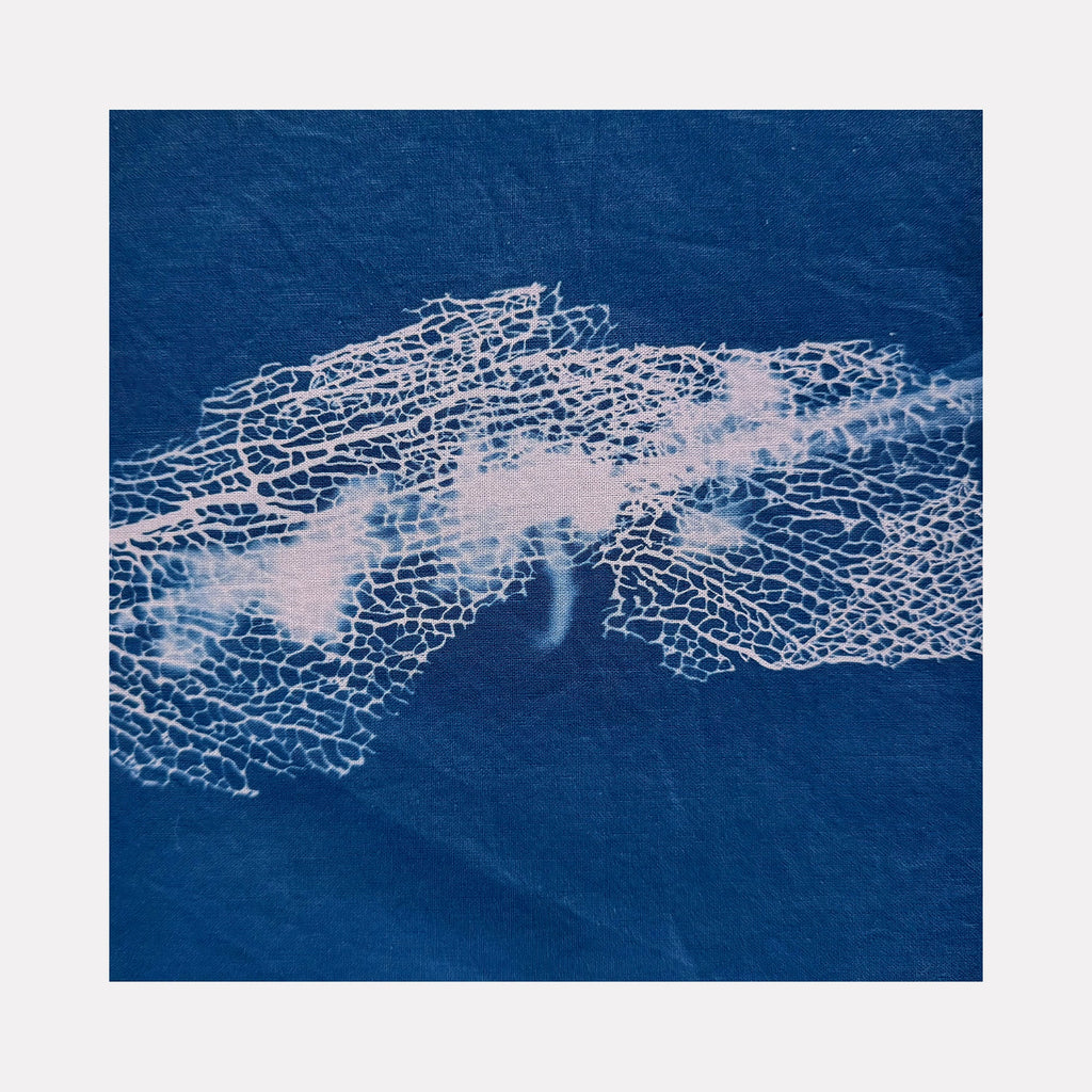 The artwork "Sea 2" features an abstract design with a deep blue background and delicate white organic patterns resembling sea coral or cracked ice. The texture appears smooth with subtle variations in shade, evoking a sense of fluidity and natural beauty in a minimalist style. By Starr Tucker-Ortega.