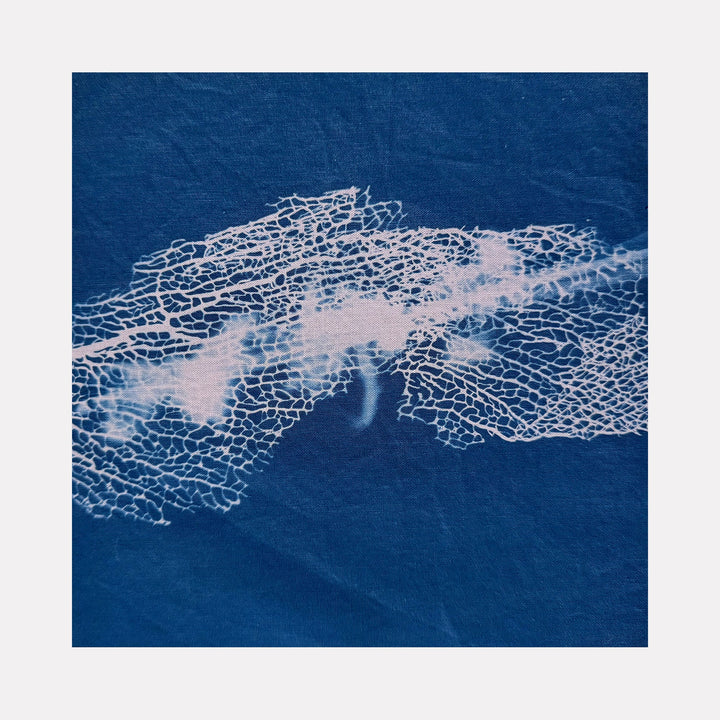 The artwork "Sea 2" features an abstract design with a deep blue background and delicate white organic patterns resembling sea coral or cracked ice. The texture appears smooth with subtle variations in shade, evoking a sense of fluidity and natural beauty in a minimalist style. By Starr Tucker-Ortega.