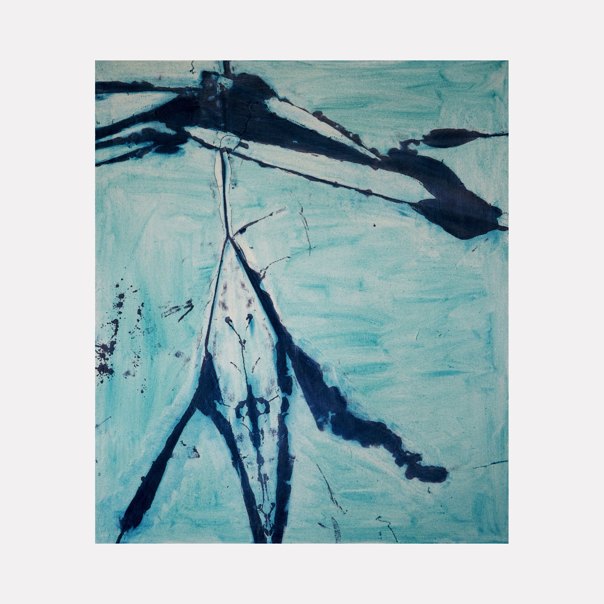 collection-cover-image