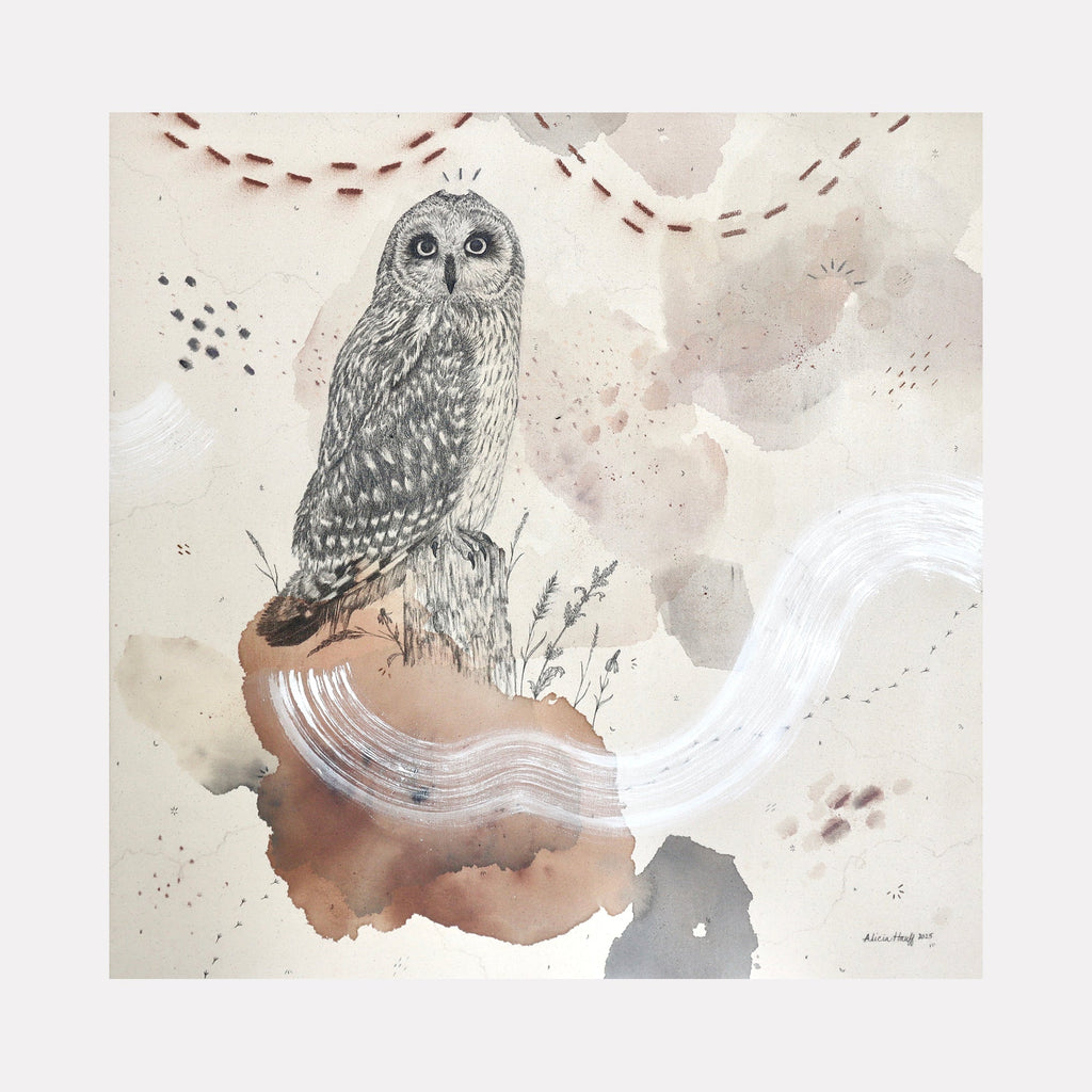 The artwork "Short Eared Owl, Open Country Acrobat" features a detailed black and white illustration of a short-eared owl perched on a naturalistic brown stump with delicate grasses, set against a soft beige and light brown watercolor background with abstract white and reddish brushstrokes, by Alicia Hauff.