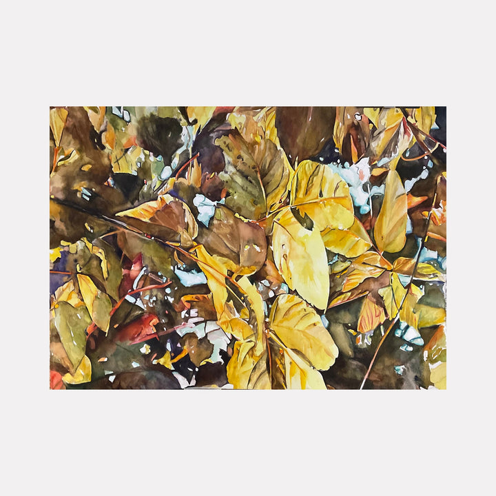 The artwork "Afternoon sun" by Jane E. Skafte depicts a close-up view of fallen autumn leaves in warm shades of yellow, brown, and green. The detailed painting captures the texture and veins of the leaves with a watercolor style, creating a natural and serene atmosphere. Jane E. Skafte.