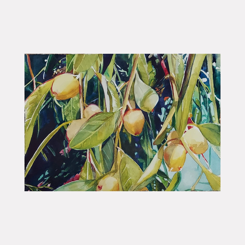 The artwork "Russian Olive" by Jane E. Skafte depicts a close-up of olive-like fruits hanging from slender branches surrounded by elongated green leaves. The painting showcases rich textures with detailed shading and highlights in natural greens, yellows, and subtle hints of blue, capturing a vibrant, lifelike botanical scene.