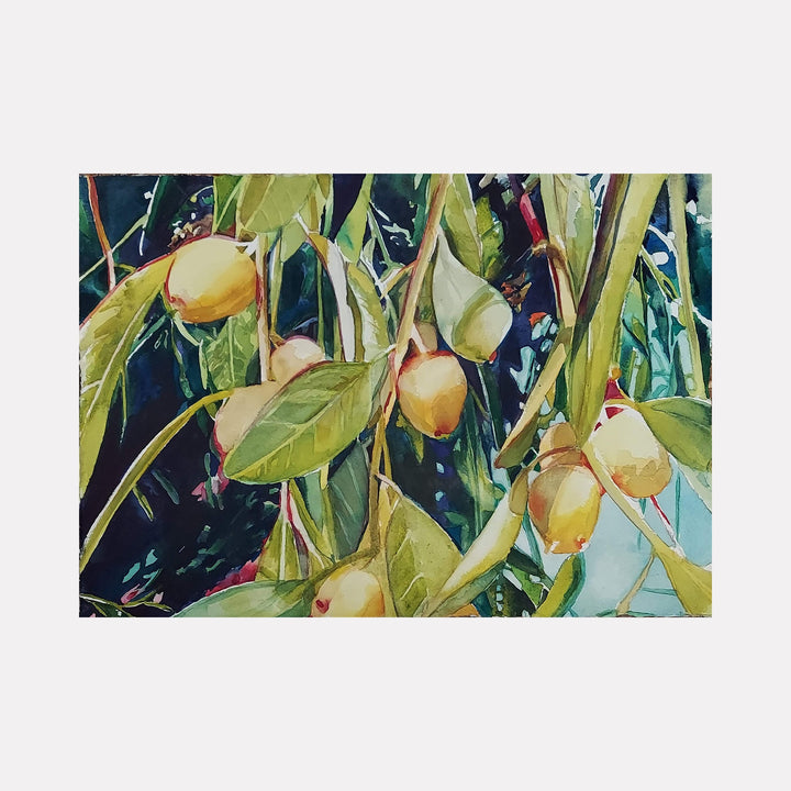 The artwork "Russian Olive" by Jane E. Skafte depicts a close-up of olive-like fruits hanging from slender branches surrounded by elongated green leaves. The painting showcases rich textures with detailed shading and highlights in natural greens, yellows, and subtle hints of blue, capturing a vibrant, lifelike botanical scene.