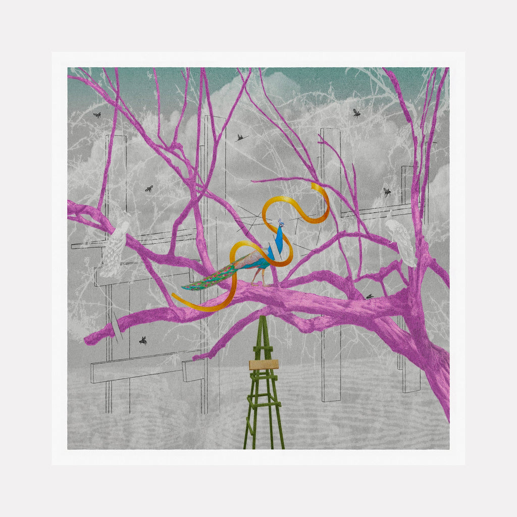 The artwork "The Peacock" features a surreal scene with vibrant purple tree branches intertwined with abstract orange and blue shapes resembling a stylized peacock. The background is muted gray with faint outlines of structures and small black birds, evoking a dreamlike atmosphere similar to the styles of Salvador Dalí and René Magritte. Steve Moors.