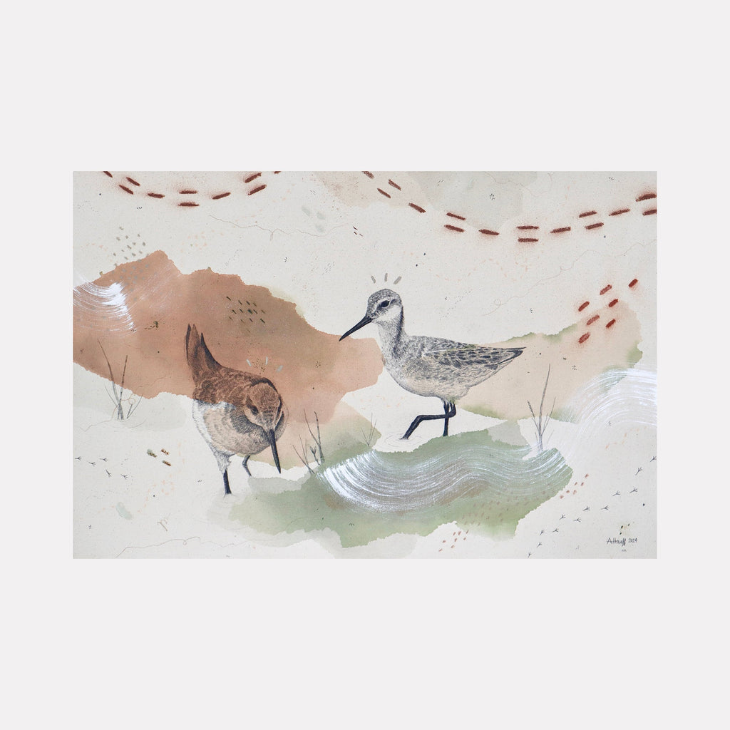The artwork "Wilson's Phalarope Puts a Spin on It" features two detailed shorebirds with delicate textures and natural earthy tones of brown, gray, and green. The background includes abstract shapes and subtle brushstrokes that evoke a serene wetland habitat. The piece is by Alicia Hauff.