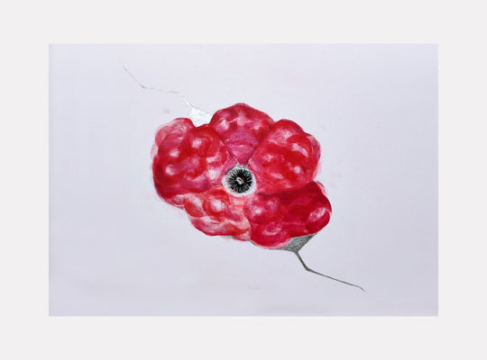 The artwork 'Windflower' by Ronit Levin Delgado features a vibrant red anemone flower painted with lipstick and chrome paint on white archival paper. The delicate petals are rendered in rich, textured crimson hues, surrounding a dark central eye, with subtle silver accents creating depth and dimension. The minimalist composition against the stark background emphasizes the flower's natural beauty.