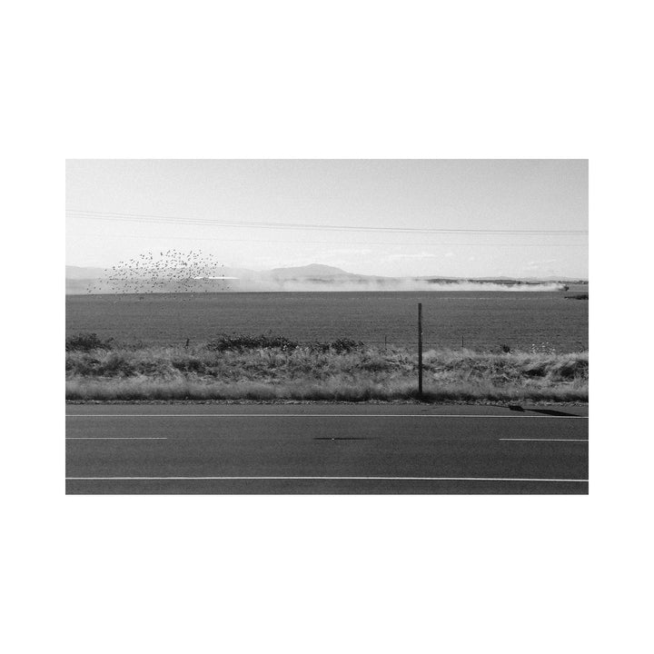 The artwork "You Followed Me, Too" depicts a black and white landscape featuring an empty road in the foreground, a grassy field with scattered shrubs, and distant mountains under a clear sky. A flock of birds is seen flying above the field, adding dynamic texture to the minimalist scene. By Kelly McGovern.