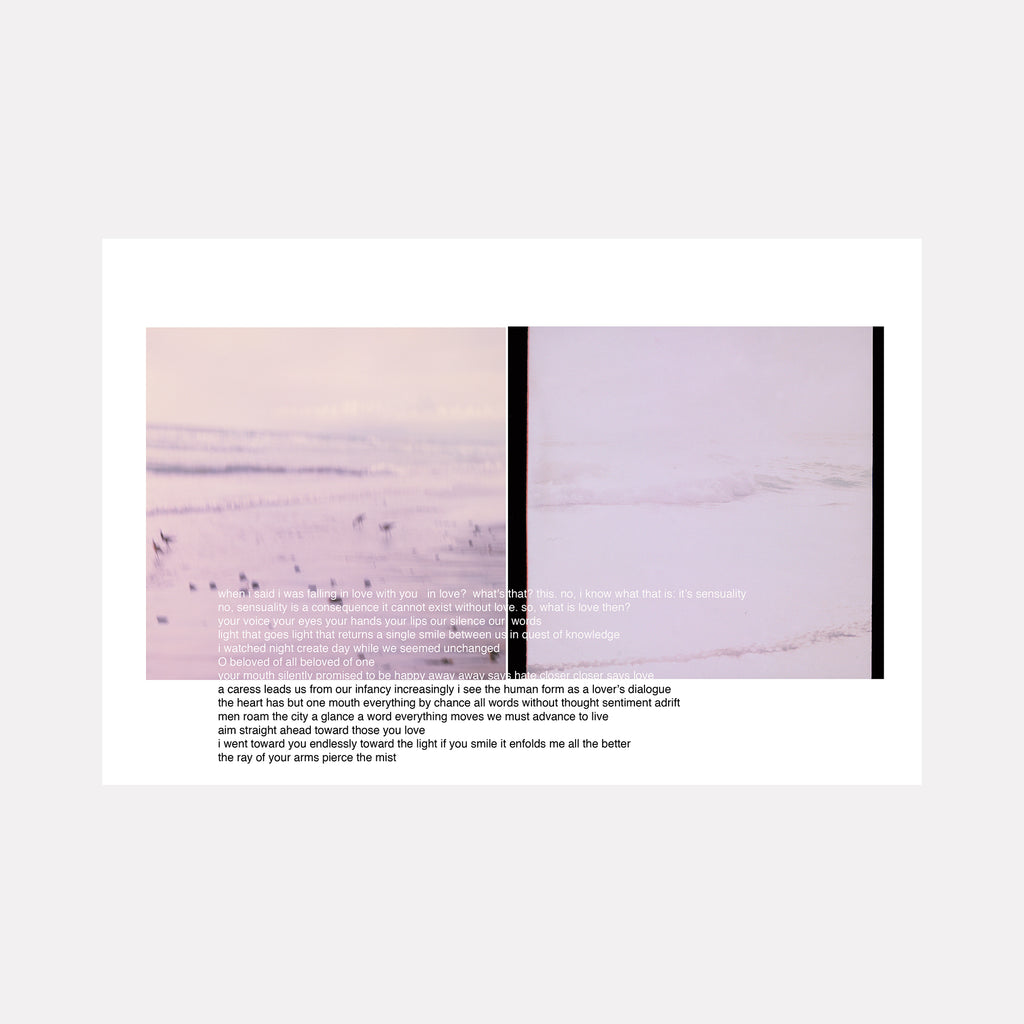 Artwork 'alphaville' shows a split composition of soft pink and lavender landscapes with gentle textural elements in film photography by Esther Voisin
