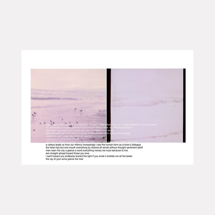 Artwork 'alphaville' shows a split composition of soft pink and lavender landscapes with gentle textural elements in film photography by Esther Voisin