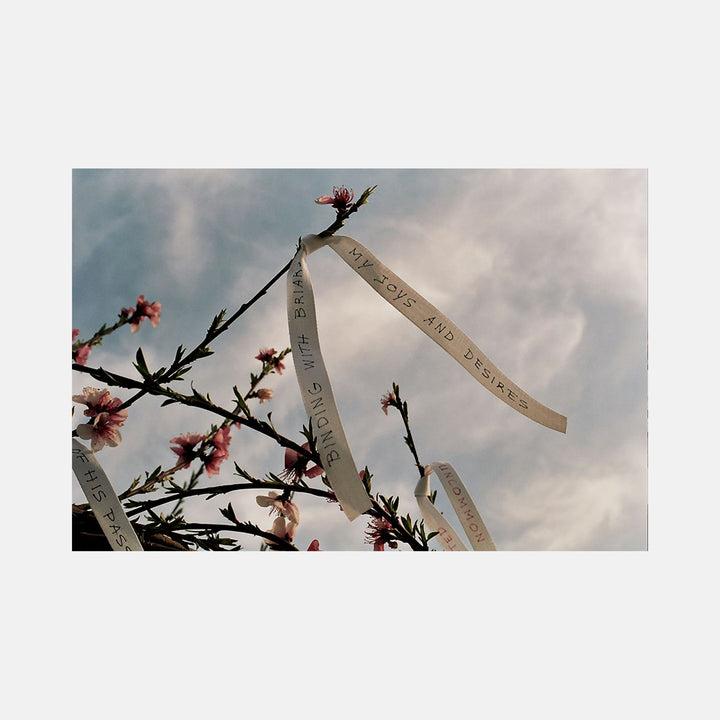 poetry2 by Esther Voisin: Paper ribbons with text hanging from cherry blossom branches against cloudy sky, captured in film photography