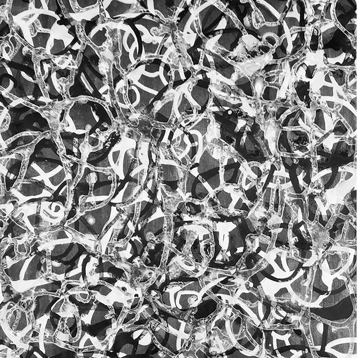 The artwork 'Gestural Pouring #7' by Eric Jiaju Lee features an intricate black and white abstract composition with dynamic flowing patterns. Swirling brushstrokes create overlapping transparent layers, resembling a maze of liquid forms. The monochromatic acrylic on Bristol showcases organic movement and rhythmic gestural marks, creating a complex network of interweaving shapes.