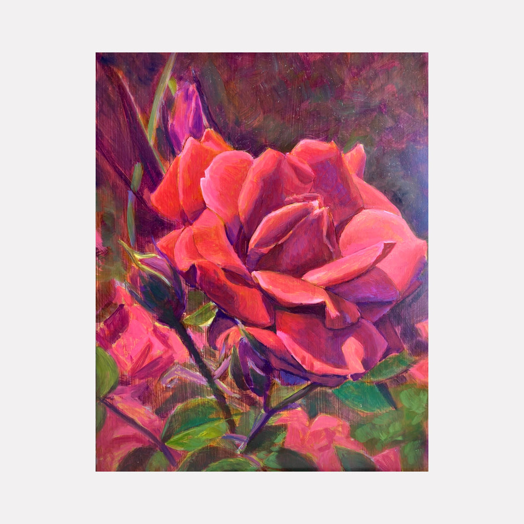 The artwork 'Rose' by Elody Gyekis features a vibrant coral-pink rose in full bloom, painted with dramatic lighting and rich purple shadows. The petals unfold in layers against a moody, dark background, with green leaves visible beneath. The oil painting captures the flower's delicate texture and dimensional form through expressive brushstrokes and bold color contrasts.