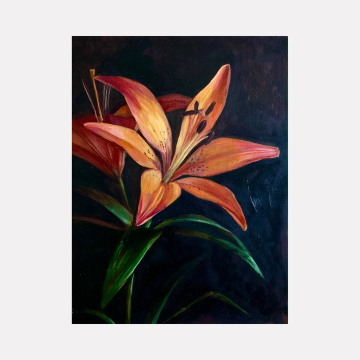 The artwork 'Lily' by Elody Gyekis features a vibrant orange and salmon-colored lily bloom against a deep navy background. The oil painting showcases detailed petals with subtle color transitions, dark stamens, and rich green stems. The dramatic lighting and realistic botanical detail create a striking contrast on the 12x12 inch panel. Artwork by Elody Gyekis.