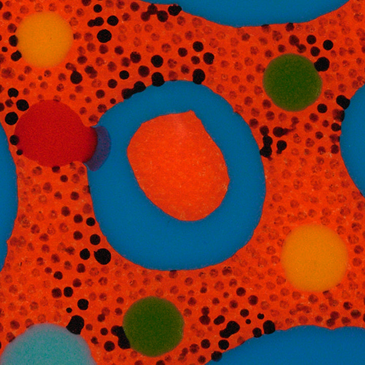 Dark Slate Gray Untitled (Orange blue rings)