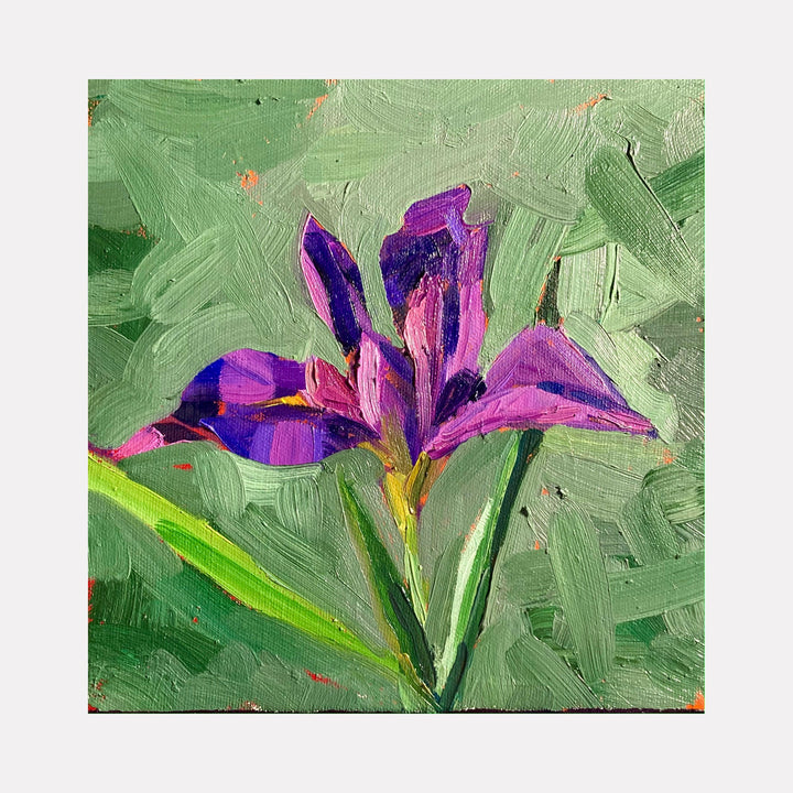 The artwork 'Iris' by Elody Gyekis features a vibrant purple iris flower with delicate petals rendered in bold brushstrokes of deep violet and magenta against a textured sage green background. The composition captures the flower's elegant form with a single green stem and leaf, painted in expressive oil technique on a 12x12 inch panel.
