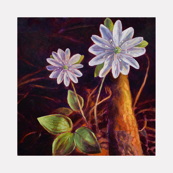 The artwork 'Hepatica' by Elody Gyekis features two delicate white-lavender wildflowers with multiple petals against a deep burgundy background. The flowers emerge from green leaves and a rustic brown stem, painted in rich oil colors on panel with dramatic contrast and botanical detail.