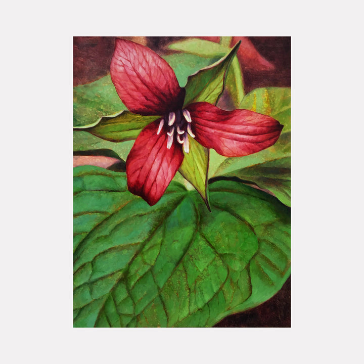 Dark Olive Green Trillium