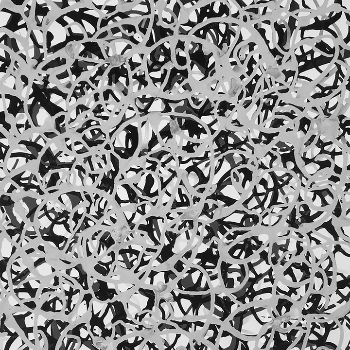 The artwork 'Gestural Pouring #2' by Eric Jiaju Lee features an abstract monochromatic composition with dynamic black and gray brushstrokes interweaving across the surface. The spontaneous, fluid marks create a dense pattern reminiscent of calligraphic gestures, showcasing expressive movement and organic forms in acrylic on Bristol paper by Eric Jiaju Lee.