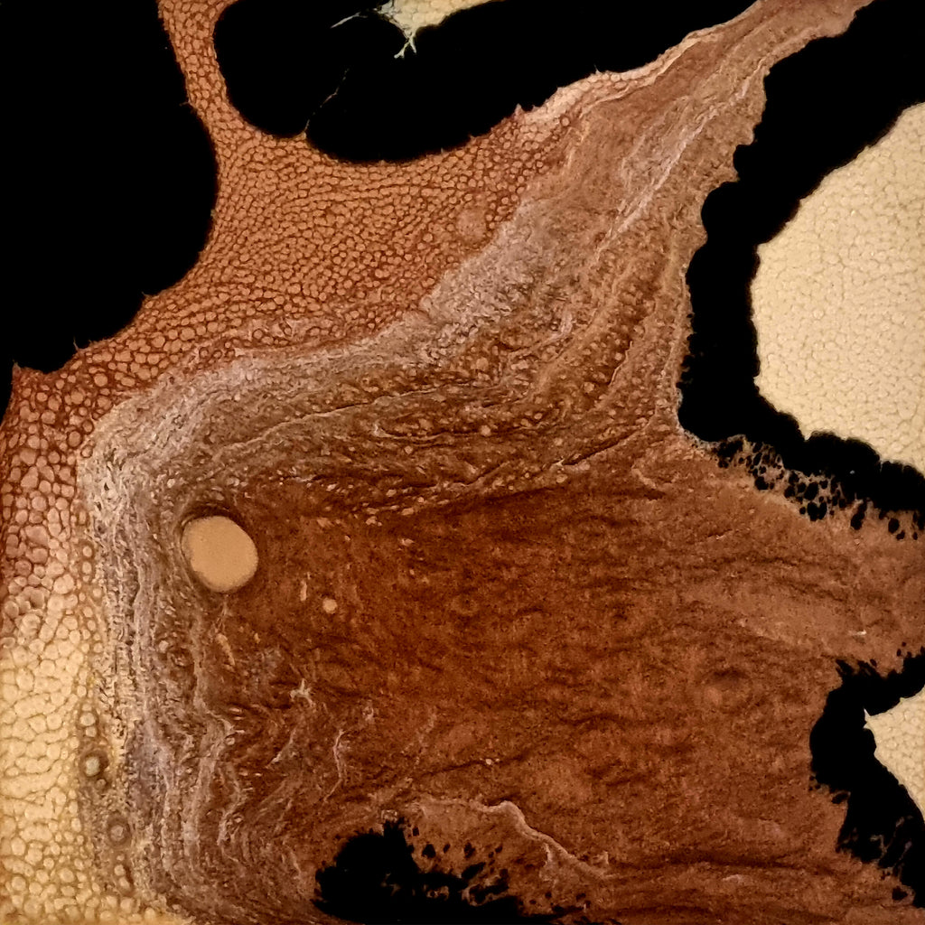 Saddle Brown Autumn 10