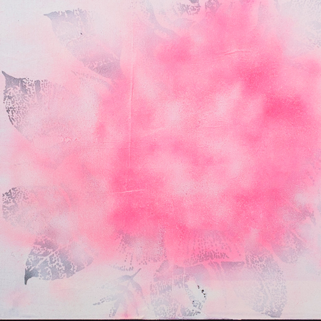 Big Rose - curina