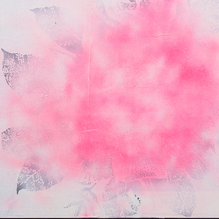 Big Rose - curina