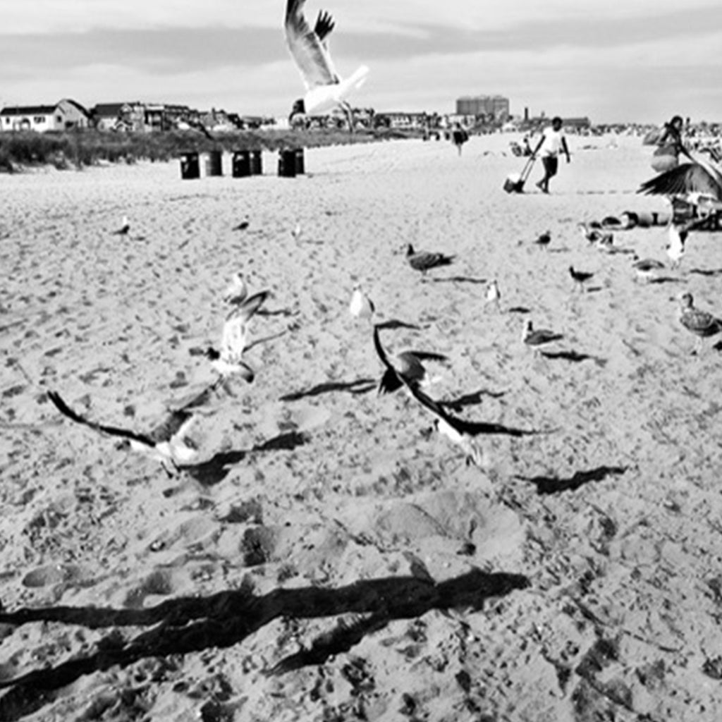 The artwork 'Coney Island' by Mari Sarai captures a dynamic black and white beach scene featuring seagulls in flight across sandy shores. Beach houses dot the horizon while scattered trash bins create geometric shadows. The composition showcases dramatic contrast between flying birds and their dark shadows on sunlit sand, creating a nostalgic seaside atmosphere in monochromatic tones. By Mari Sarai.