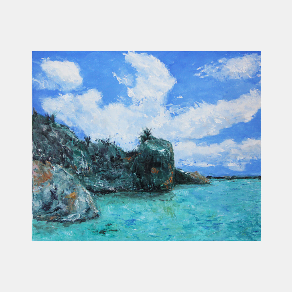 Coast Landscape - curina