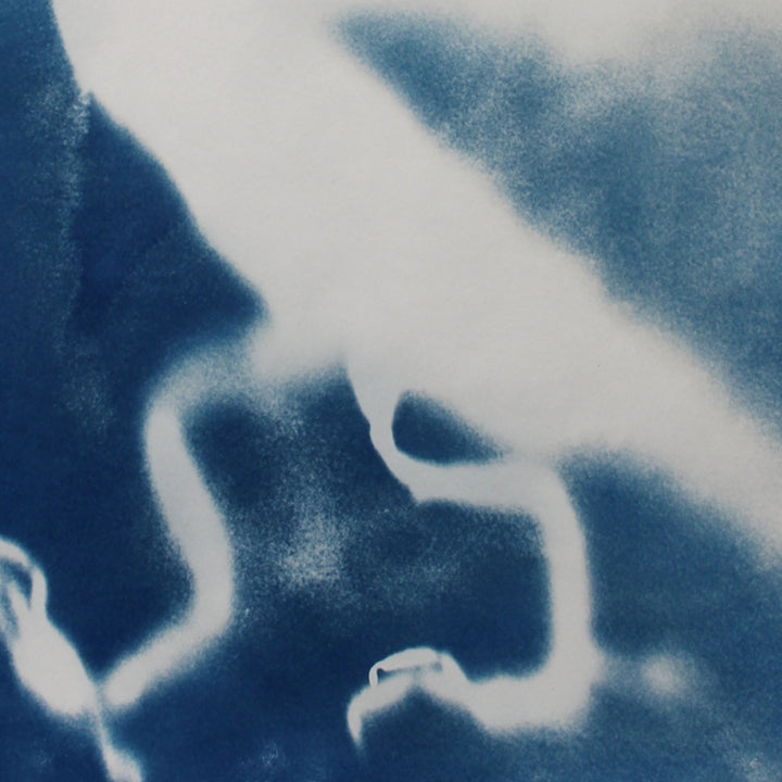 Embryonic Stage 2