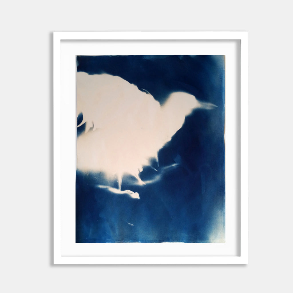The artwork 'Embryonic Stage 5' by Johanna Ryan features a striking cyanotype print with ethereal white forms against a deep prussian blue background. Abstract organic shapes create a dreamlike silhouette, resembling billowing clouds or floating forms. The high contrast composition showcases the distinctive photographic process on paper, with delicate transitions between light and shadow.