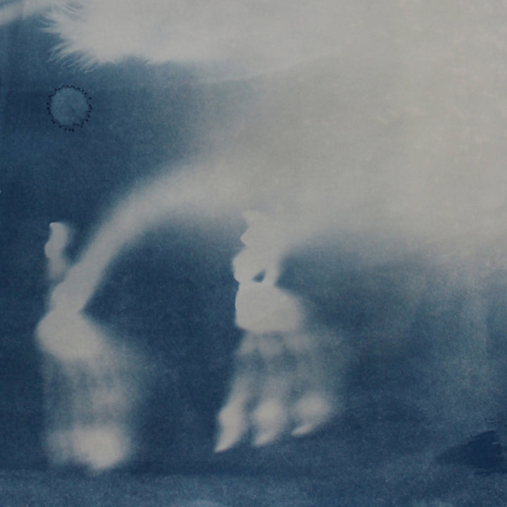The artwork 'Embryonic Stage 8' by Johanna Ryan features a dreamlike cyanotype print with ethereal white forms floating against a deep Prussian blue background. Abstract organic shapes emerge from misty gradients, creating a mysterious underwater atmosphere. The composition captures delicate tonal variations in the traditional photographic process, measuring 24x19 inches on paper.