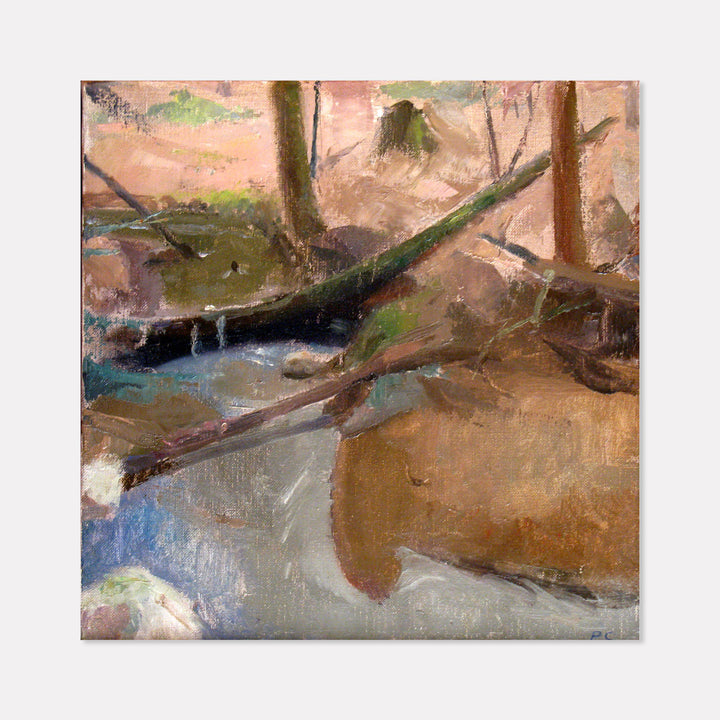 Fallen Trees in a Stream - curina