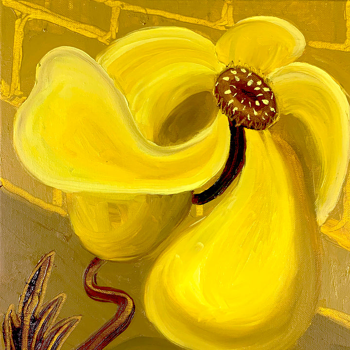 Florecita Amarilla - curina