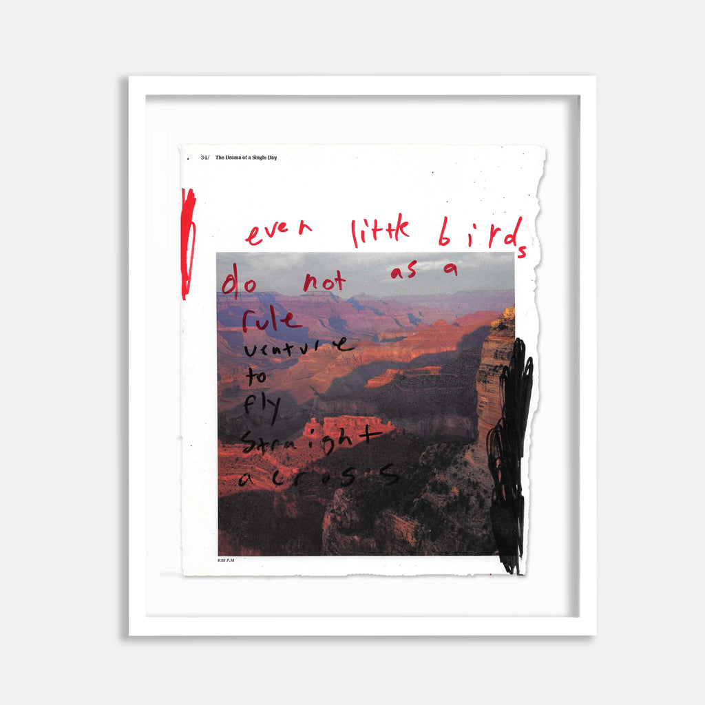 The artwork 'Little Birds' by Joseph O'Neal features handwritten red text overlaid on a dramatic landscape photograph of the Grand Canyon. The text appears in casual marker strokes against the backdrop of layered orange-red canyon walls and deep shadows at sunset. The found magazine page shows the vast desert vista with rugged rock formations. Mixed media artwork combining photography and marker text, 10x8.5 inches. By Joseph O'Neal.