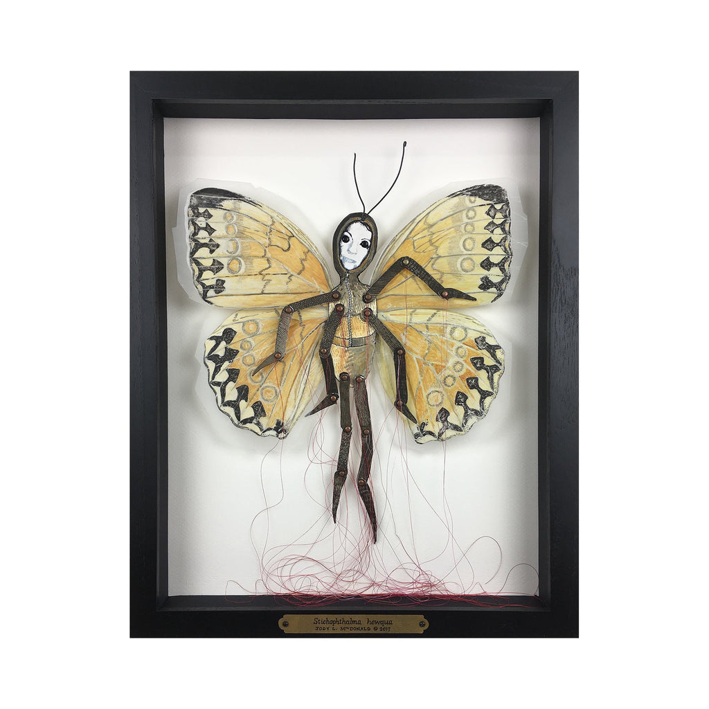 The artwork 'Stichophthalma howqua' by Jody MacDonald features a mixed media butterfly figure with delicate yellow and black patterned wings. The central figure is rendered in dark tones with intricate thread details and appears mounted in a black frame against a white background. The piece combines watercolor, ink, and textile elements in a specimen-like display style.