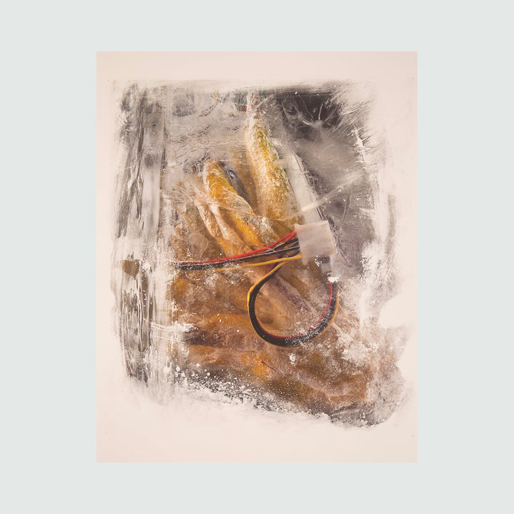 The artwork 'The Visible Cord 3' by Sarah Canfield features a striking abstract composition with a golden-brown organic form emerging from a misty gray background. A curved black line with red accents weaves through the composition, creating dynamic movement. The image transfer technique creates textural depth and ethereal qualities on paper.