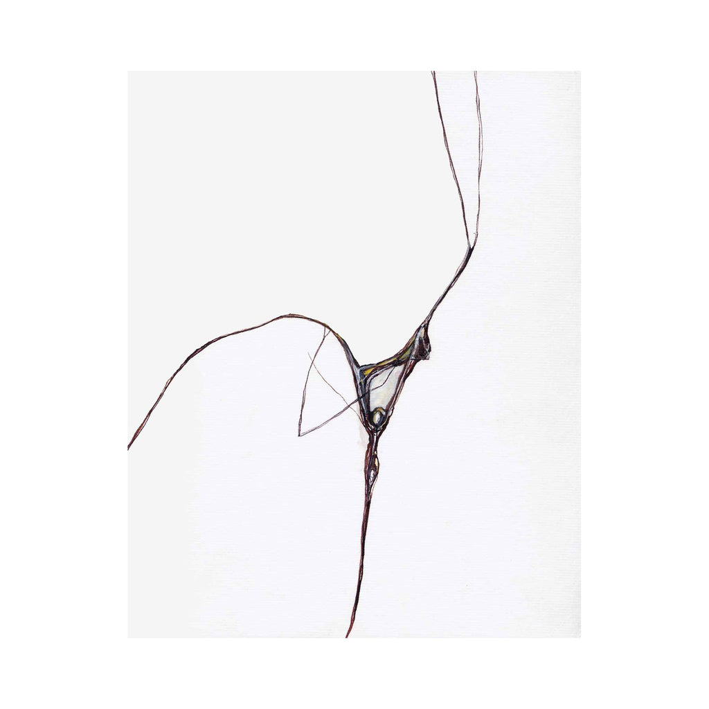 The artwork 'Spider Edge' by Susan Rowe Harrison features delicate black ink lines on white paper, creating an abstract minimalist composition. The flowing lines intersect to form a subtle web-like structure with a distinctive curved shape at its center, embodying both organic movement and architectural precision. Original ink drawing on paper by Susan Rowe Harrison.