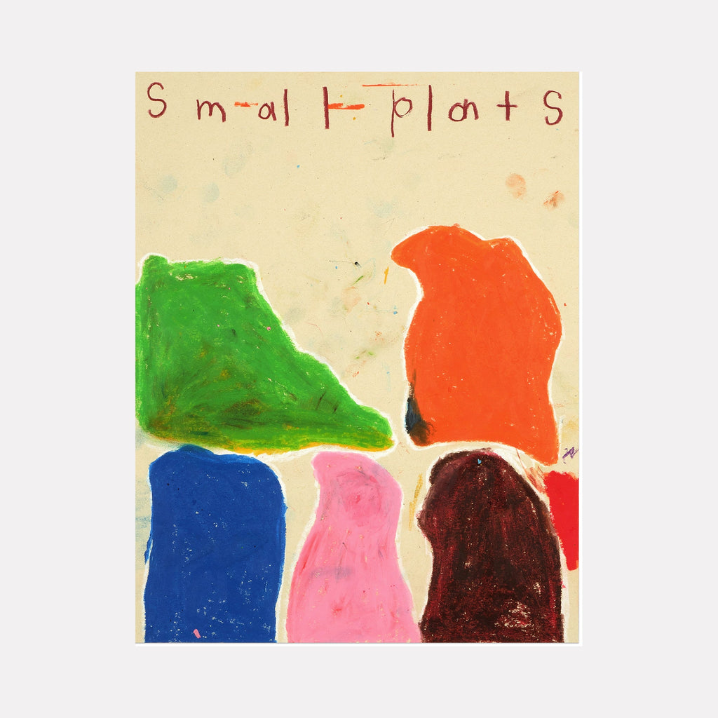 The artwork 'Small Plants' by Joseph O'Neal features abstract organic shapes in vibrant colors - emerald green, coral orange, royal blue, soft pink, and deep burgundy - rendered in pencil and wax pastel on cream paper. The forms suggest simplified plant silhouettes arranged in a playful, modernist composition.