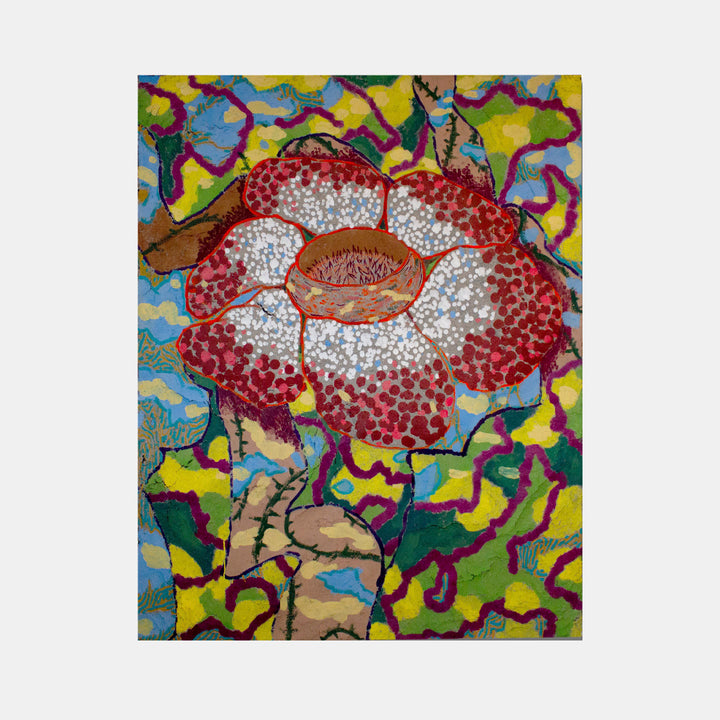 Rafflesia Arnoldii - curina