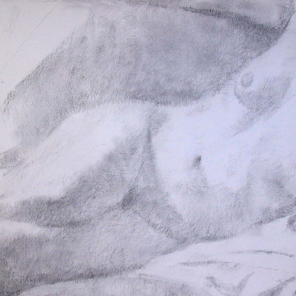 The artwork 'Reclining F. Torso & Legs' by Peter Colquhoun features a delicate charcoal sketch depicting a reclining form with soft, flowing lines. The drawing showcases masterful shading techniques creating subtle gradients from light to dark, with graceful curves and organic shapes captured on paper. The composition emphasizes natural form through expressive charcoal strokes.